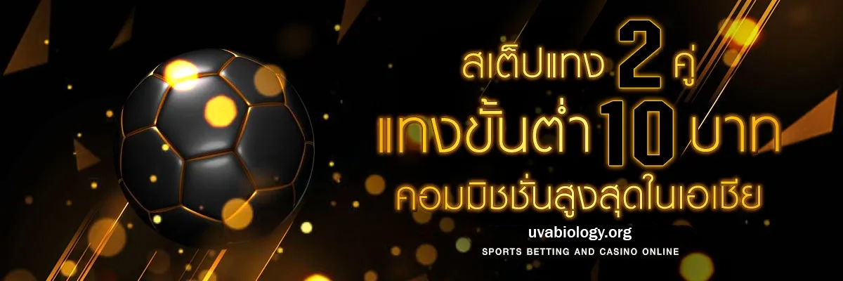 พนันออนไลน์ เว็บไหนดี